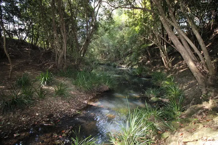 Second view of Homely rural property listing, 449 Bril Bril Road, Rollands Plains NSW 2441