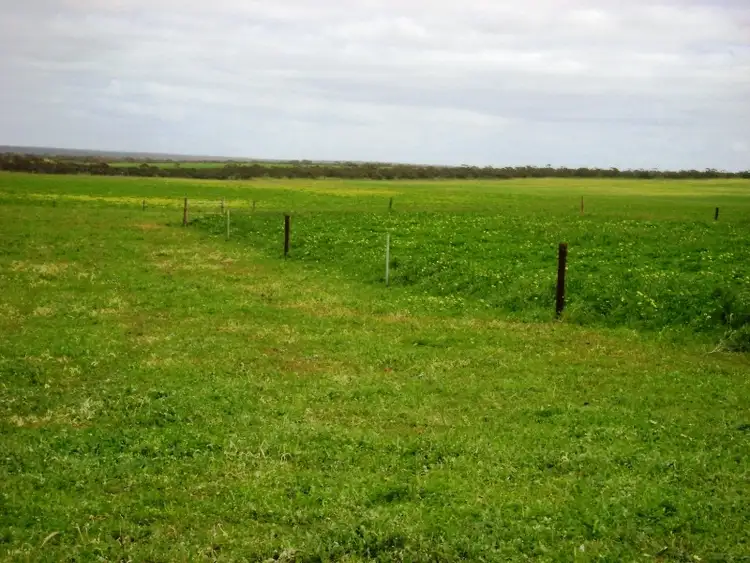 Seventh view of Homely rural property listing, - Rangeview Road, Darke Peak SA 5642