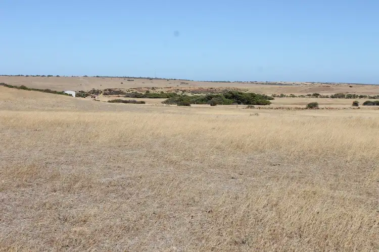 Second view of Homely rural property listing, Lot 25 Willigulli Road, Sandy Gully WA 6535