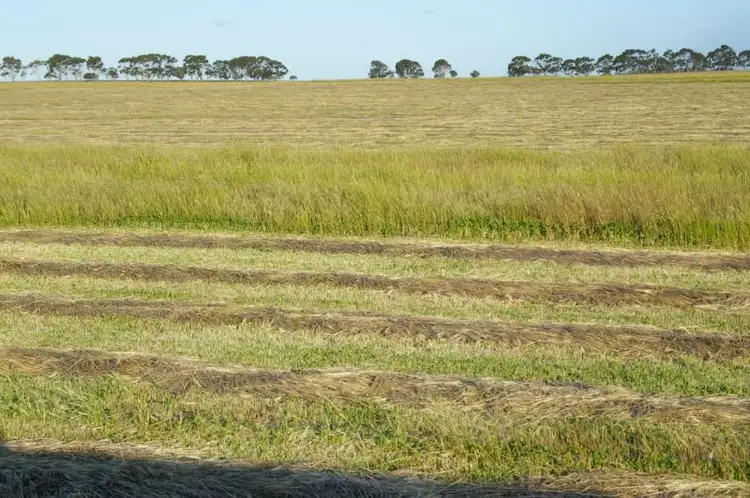 Fourth view of Homely rural property listing, 774 Middle Road, Jerdacuttup WA 6346