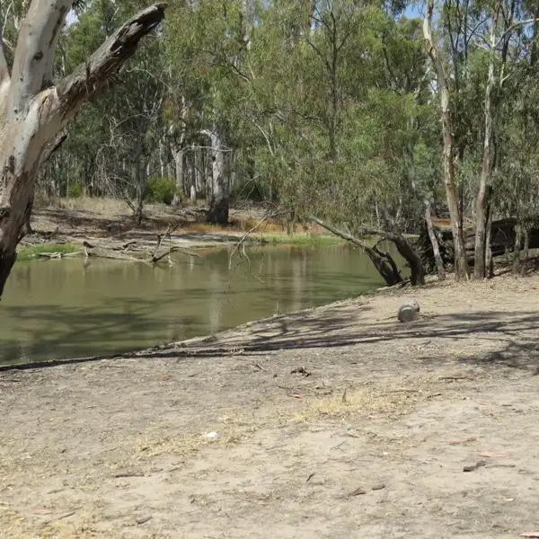 Fifth view of Homely rural property listing, 6480 Barham/Deniliquin Road, Barham NSW 2732