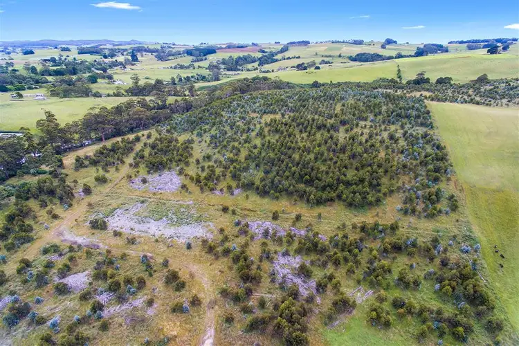 Sixth view of Homely house listing, 84 River Road, Wynyard TAS 7325