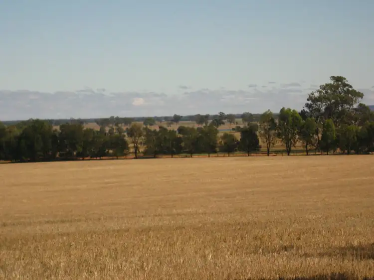 Seventh view of Homely rural property listing, Address available on request