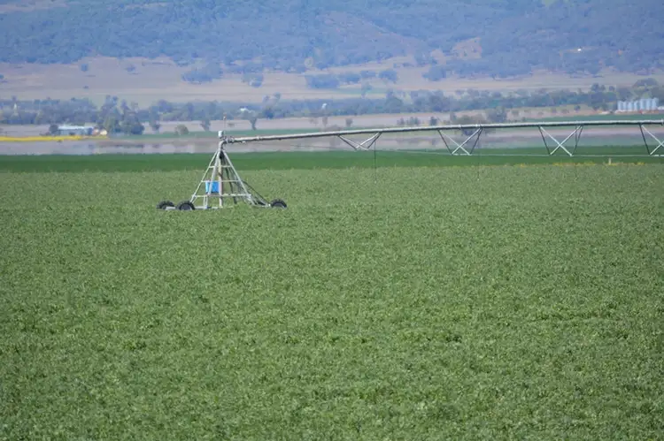 Sixth view of Homely rural property listing, "Carnarvon" Grain Valley Way, Gunnedah NSW 2380