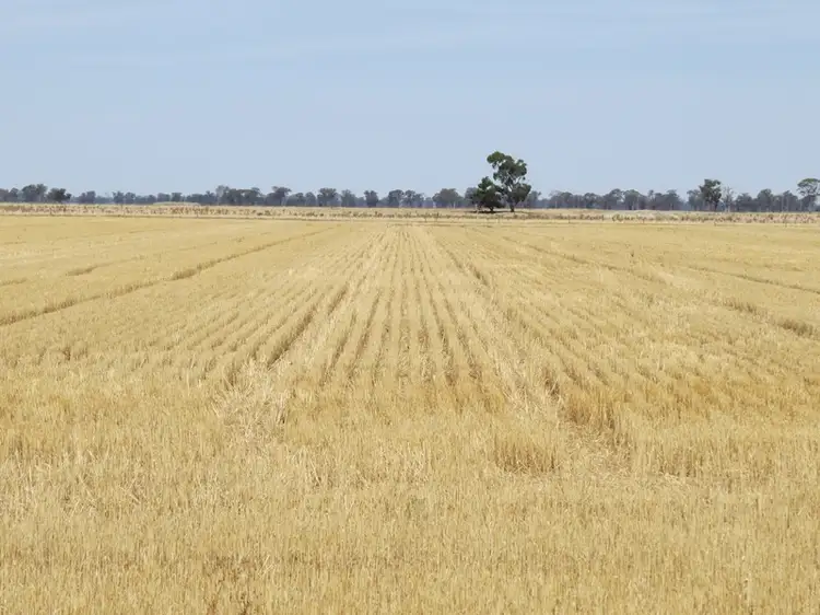 Main view of Homely rural property listing, 178 Bull Plain Road, Mulwala NSW 2647