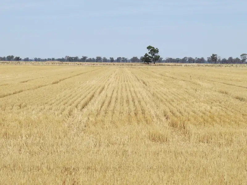 Main view of Homely rural property listing, 178 Bull Plain Road, Mulwala NSW 2647