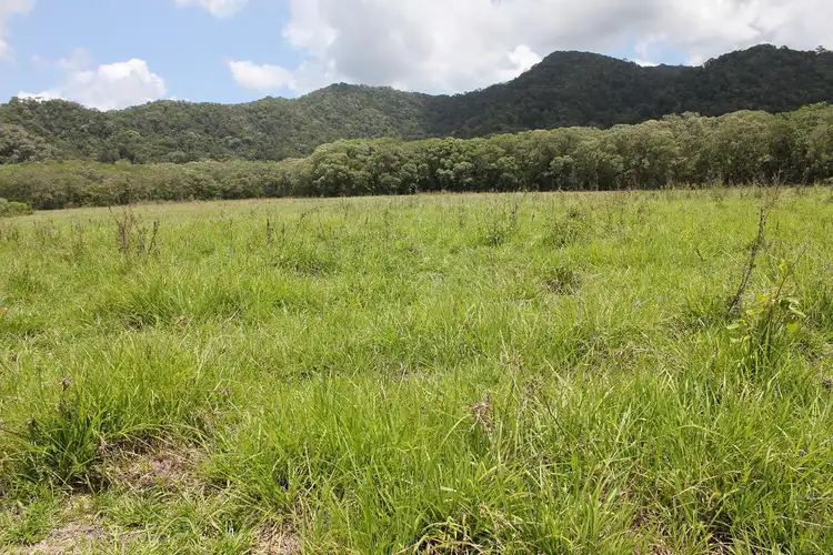 Sixth view of Homely land listing, Lot 1 Thornton Peak Drive FOREST CREEK, Daintree QLD 4873