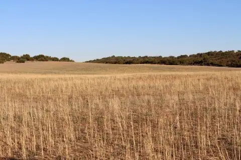 Main view of Homely rural property listing, Section 60 Ladara Bore Road, Ki Ki SA 5261