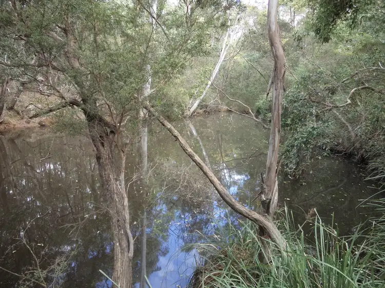 Second view of Homely rural property listing, Lot 38 Upper Fine Flower, Upper Fine Flower NSW 2460