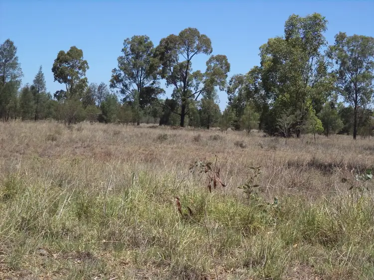 Seventh view of Homely rural property listing, 513 Old Cameby Road, Miles QLD 4415
