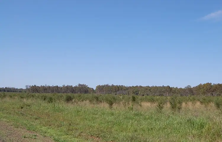 Third view of Homely rural property listing, Clearfield Road, Clearfield NSW 2469