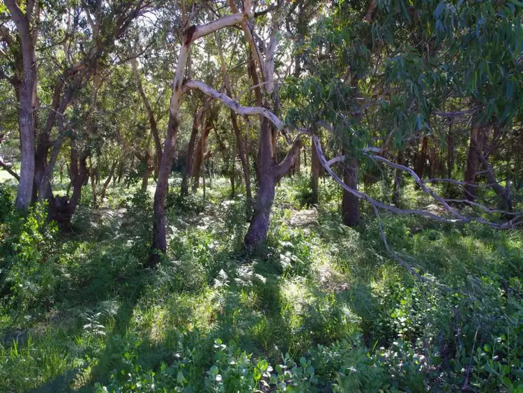 Second view of Homely land listing, 75 Blanch St, Boat Harbour NSW 2316