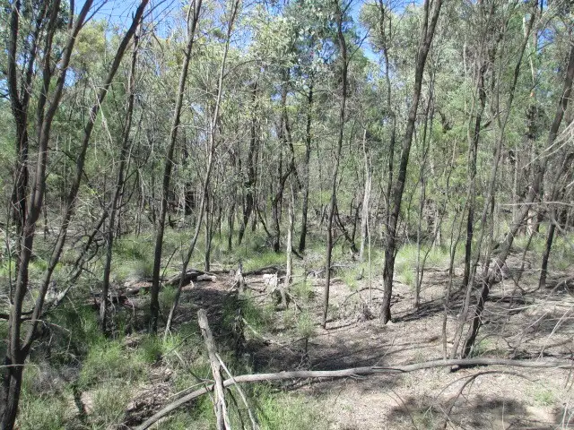 LOT 358 DAYBREAK ROAD, Tara QLD 4421