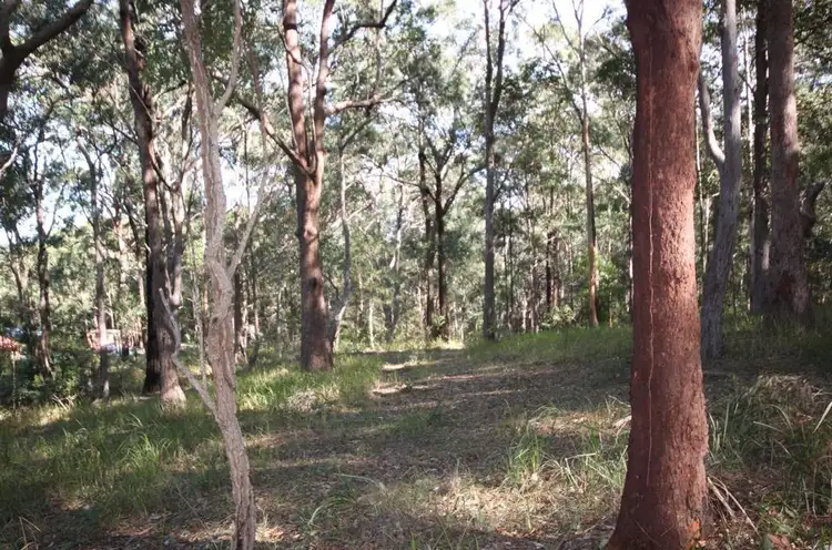 Third view of Homely land listing, Lot 1 Rollands Plains Road, Telegraph Point NSW 2441