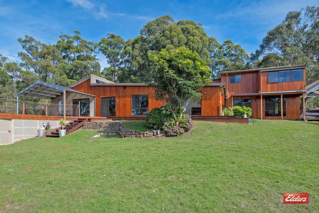 Main view of Homely house listing, 17 Vicevich Road, Somerset TAS 7322