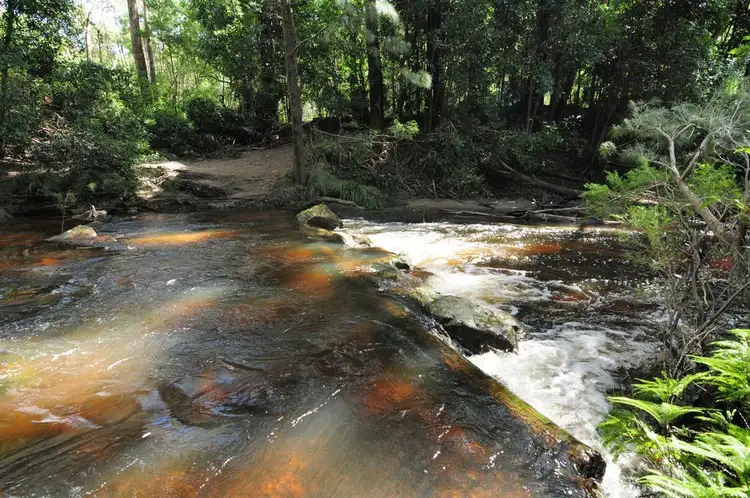 Third view of Homely rural property listing, D3090B Princes Highway, Jerrawangala NSW 2540