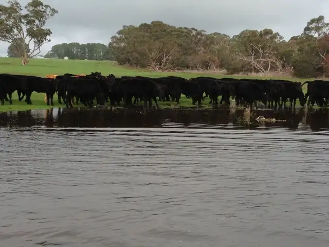 Third view of Homely rural property listing, Sec 14 East West One Hwy, Parndana SA 5220