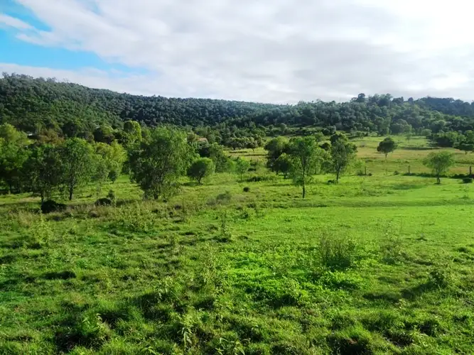 Fourth view of Homely land listing, 11 Bushman, Plainland QLD 4341