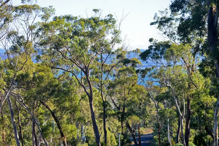 Fifth view of Homely house listing, 10 Deborah Lane, Dodges Ferry TAS 7173