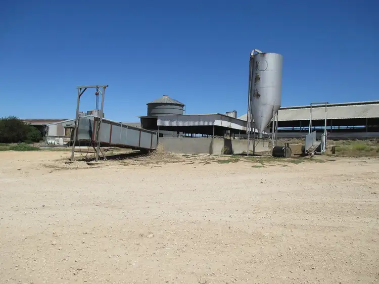 Sixth view of Homely rural property listing, 481 Jarvis Rd, Jervois SA 5259