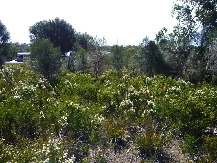 Seventh view of Homely land listing, 25 Pars Road, Greens Beach TAS 7270