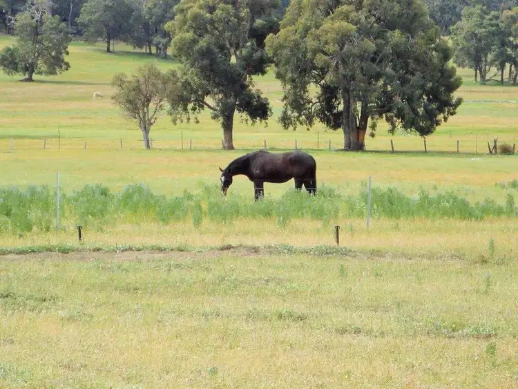 Third view of Homely land listing, 1265 Stone Street, Chidlow WA 6556