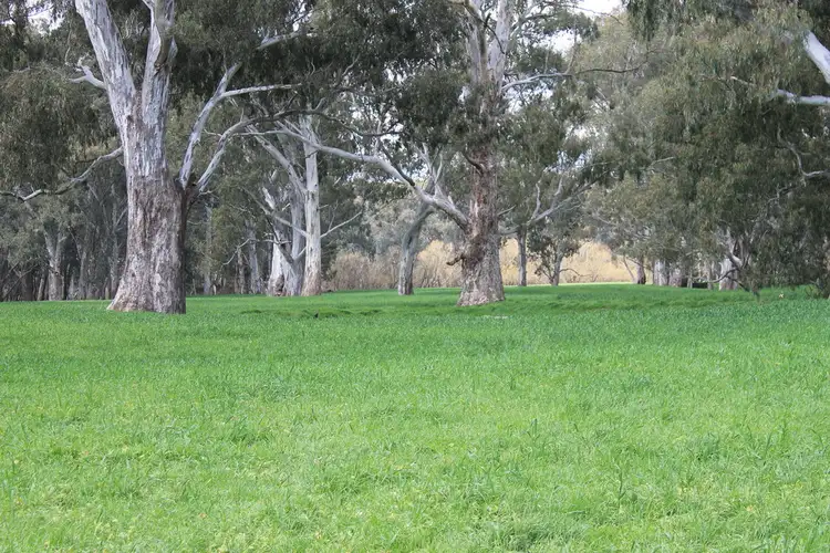 Sixth view of Homely rural property listing, 325 Switzerland Road, Ghin Ghin VIC 3717