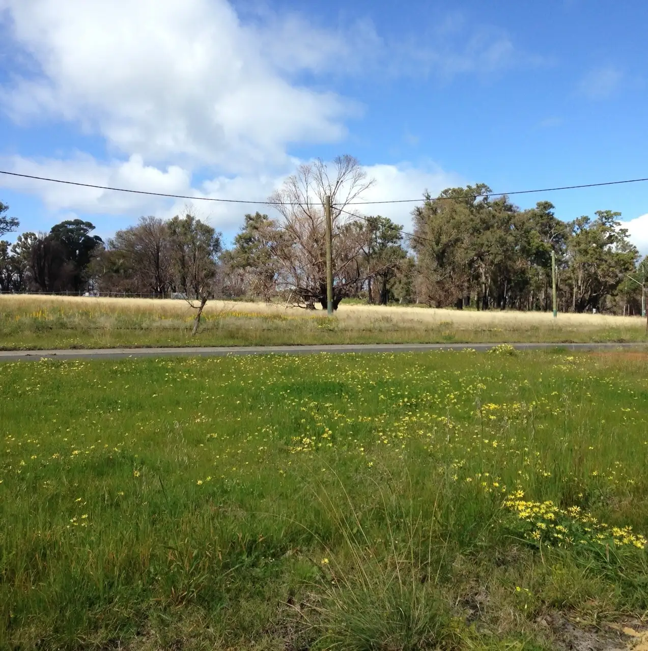 Main view of Homely land listing, 2 McDowell Street, Yarloop WA 6218