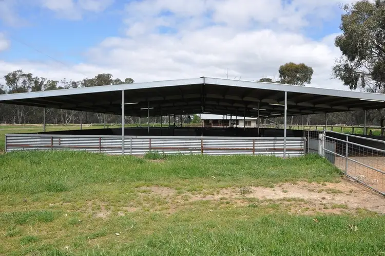 Seventh view of Homely rural property listing, 10 Hancocks Bridge Rd, Kotupna VIC 3638