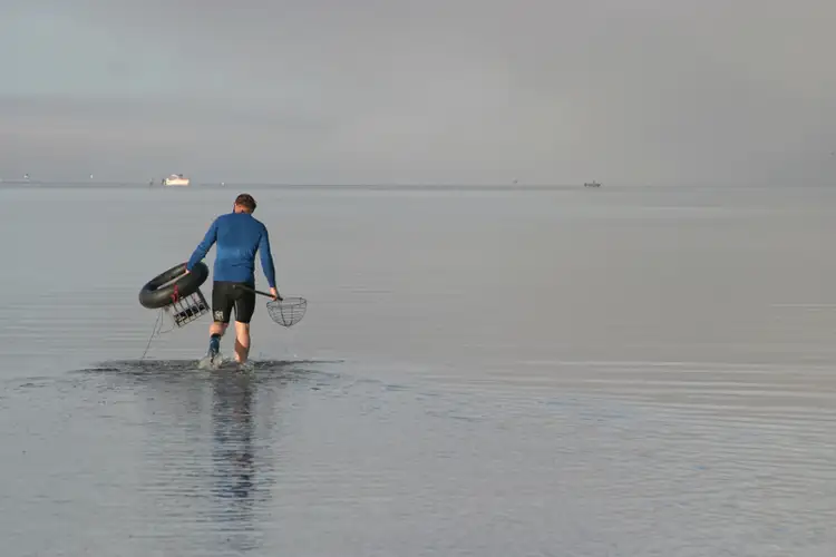 Seventh view of Homely land listing, Lot 326 Gallinago Loop, Coodanup WA 6210