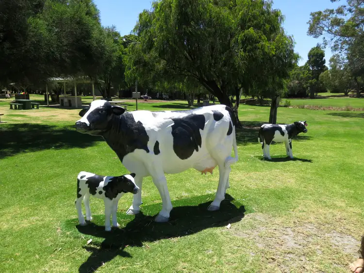 Fifth view of Homely land listing, 10 Coral Vine Cross, Cowaramup WA 6284