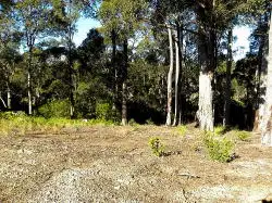 Second view of Homely land listing, 26 Bunderra Circuit, Lilli Pilli NSW 2536