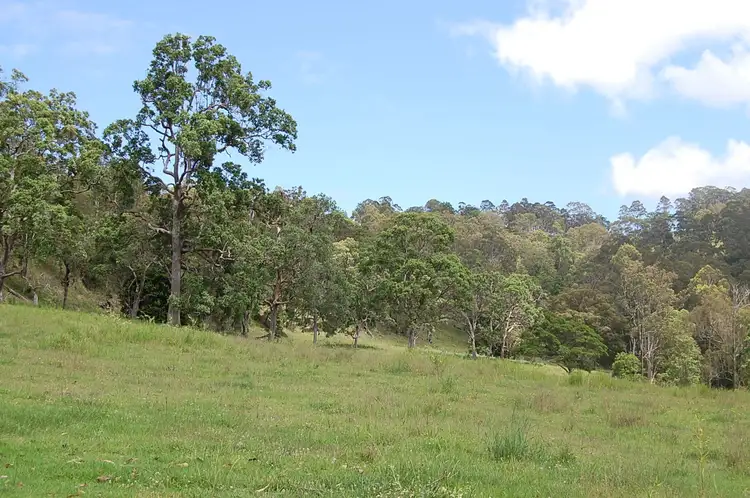 Fifth view of Homely rural property listing, Lot 2, 166 Farm Road, Bonalbo NSW 2469