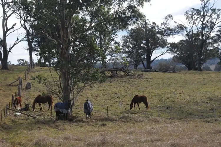 Sixth view of Homely rural property listing, 33 Carribee Road, Moss Vale NSW 2577