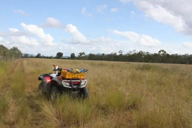 Main view of Homely rural property listing, 14755 Bruce Hwy., Proserpine QLD 4800