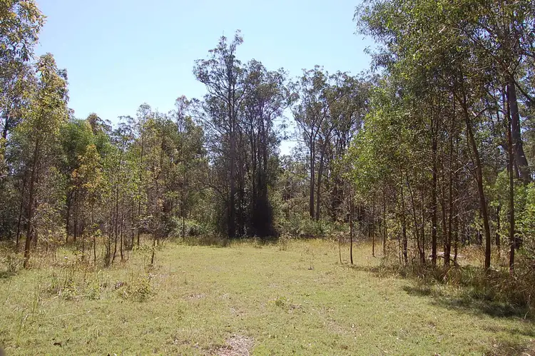 Fourth view of Homely rural property listing, Hogarth Range Rd, MONGOGARIE via, Casino NSW 2470