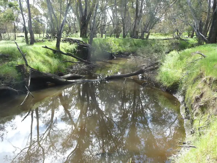 Second view of Homely rural property listing, 445 Roses Gap Road, Dadswells Bridge VIC 3385