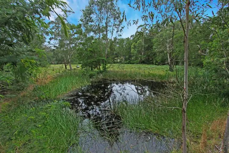Fourth view of Homely house listing, 154 McCardys Creek Road, Nelligen NSW 2536