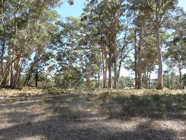 Fifth view of Homely rural property listing, 27 Harlequin St, Denmark WA 6333