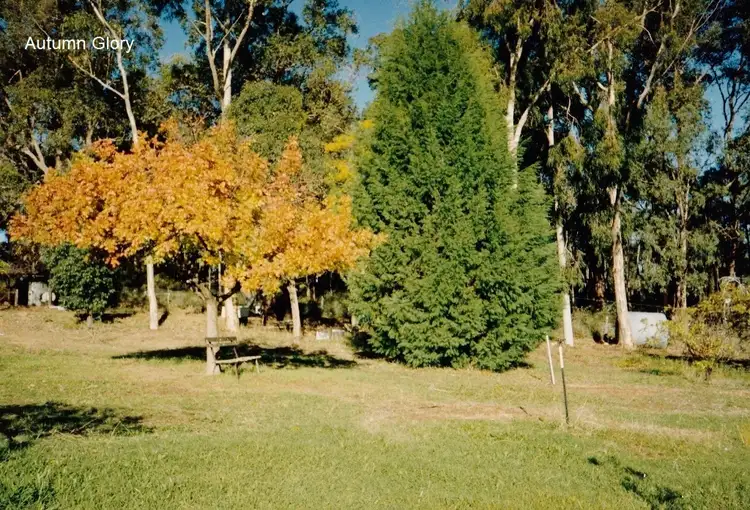 Sixth view of Homely house listing, 40 Mabel Road, Lesmurdie WA 6076