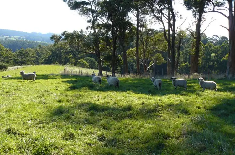 Fifth view of Homely house listing, 375 Nubeena Back Road, Nubeena TAS 7184