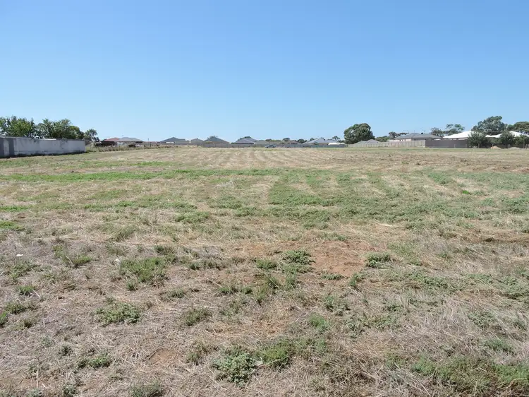 Main view of Homely land listing, 140-146 Hindmarsh Road, Murray Bridge SA 5253