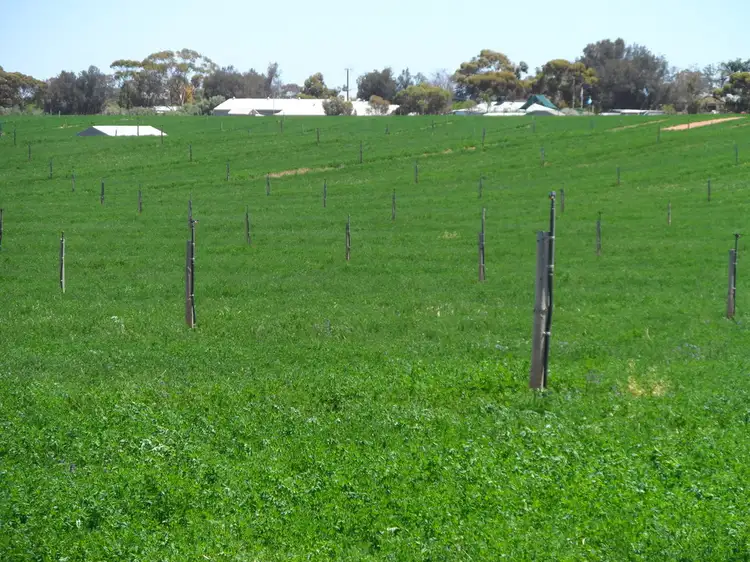 Seventh view of Homely land listing, Section 705 & Lot 10 Gratwick Road, Loxton SA 5333