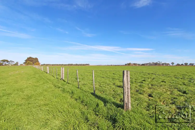Fifth view of Homely house listing, 56 Hamleys Road, Dingee VIC 3571