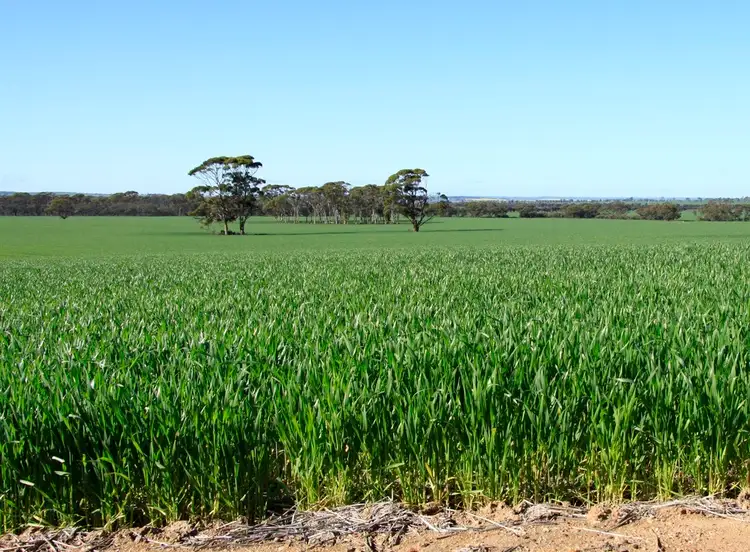 Fifth view of Homely rural property listing, Address available on request