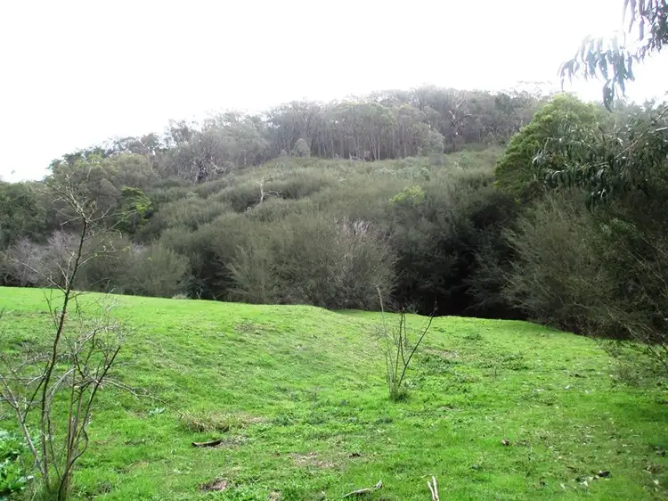 Fifth view of Homely rural property listing, 76 Range Road, Yarck VIC 3719