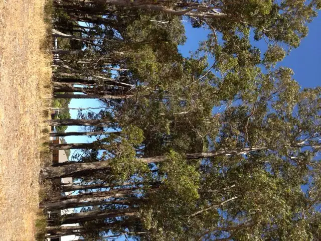Second view of Homely land listing, 4 (Lot 511) Malbec Street, Cowaramup WA 6284
