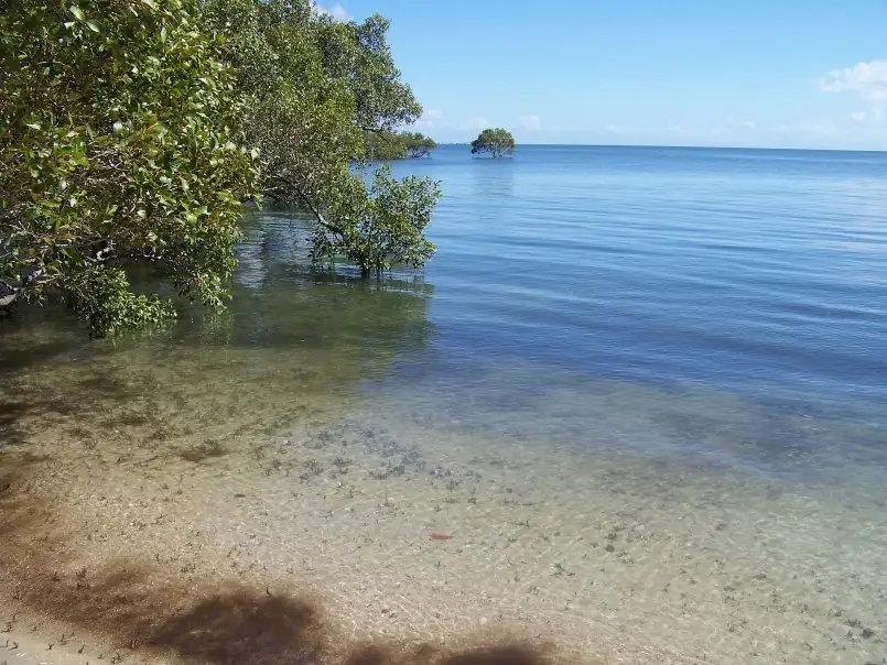 Main view of Homely land listing, 67 COONDOOROOPA DVE, Macleay Island QLD 4184