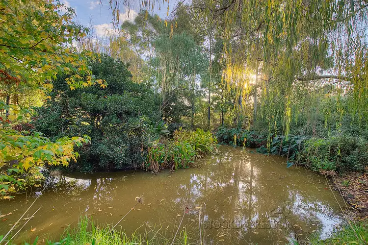 Fifth view of Homely house listing, 39 Weld Road, Capel WA 6271