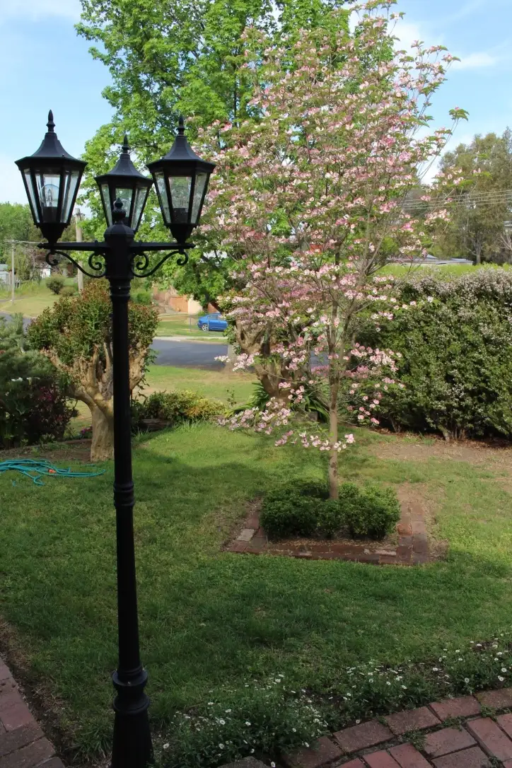 Third view of Homely house listing, 59 Richmond Street, Tumut NSW 2720